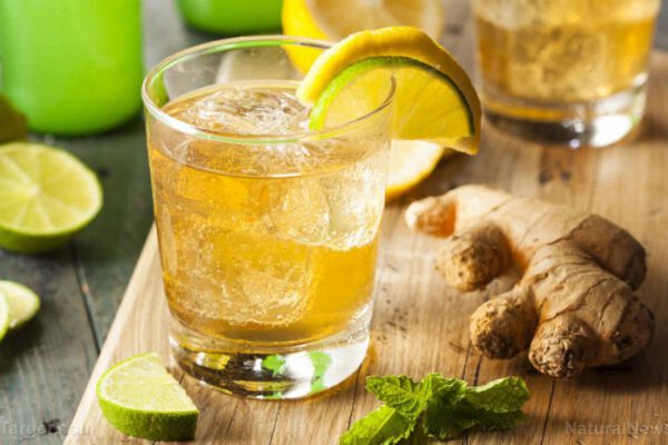 Organic-Ginger-Ale-Soda-Glass-Lemon