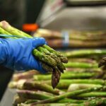 Los agricultores de la UE advierten sobre la escasez de alimentos