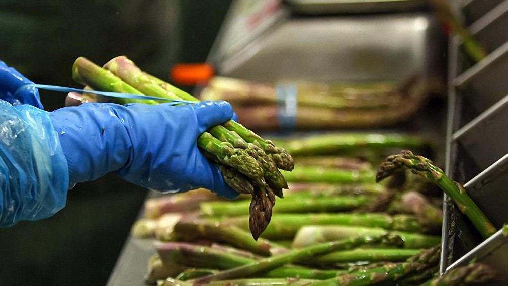 Los agricultores de la UE advierten sobre la escasez de alimentos