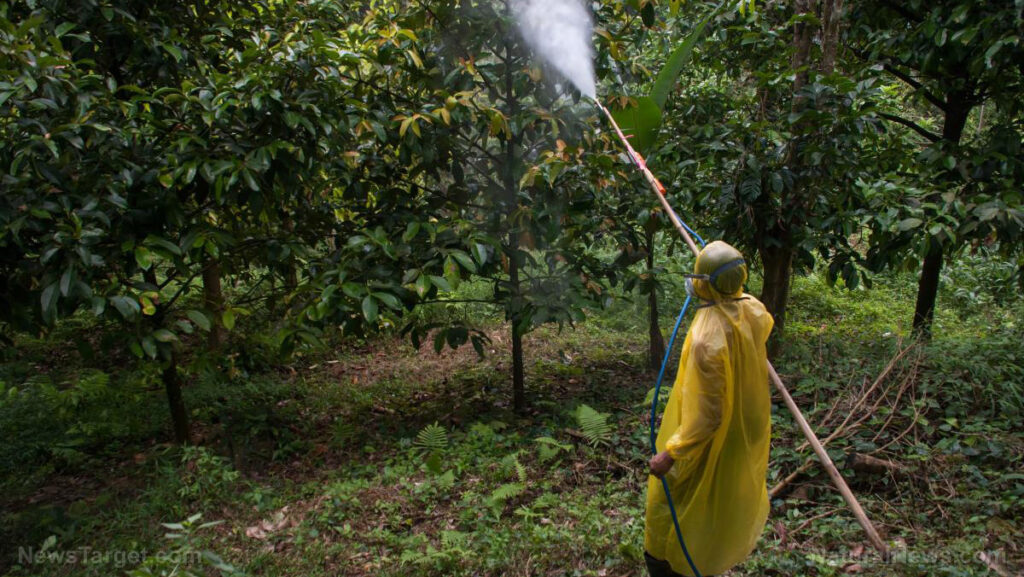 Estudio: Los bebés expuestos a los pesticidas utilizados en los árboles de cítricos y manzanos tienen un alto riesgo de desarrollar cáncer de ojo