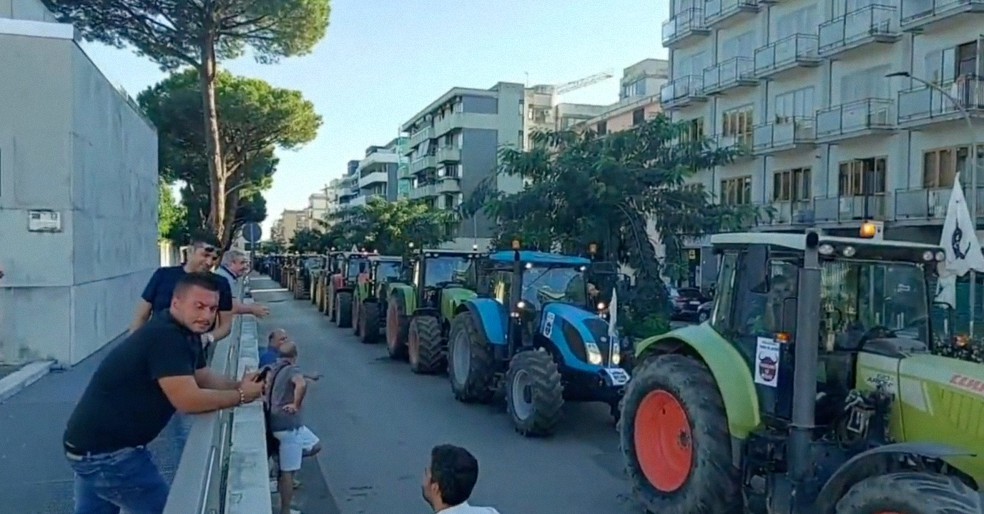 Ganaderos italianos protestan por el sacrificio forzoso de 140.000 reses y el aumento del coste de la energía