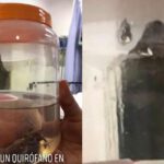 Una figura con la imagen de la Muerte aparece en un quirófano en un hospital en Hermosillo, Sonora, México