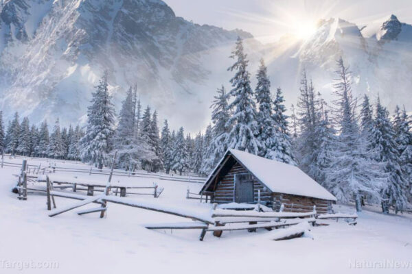 Cabin-Winter-Mountains-Snow