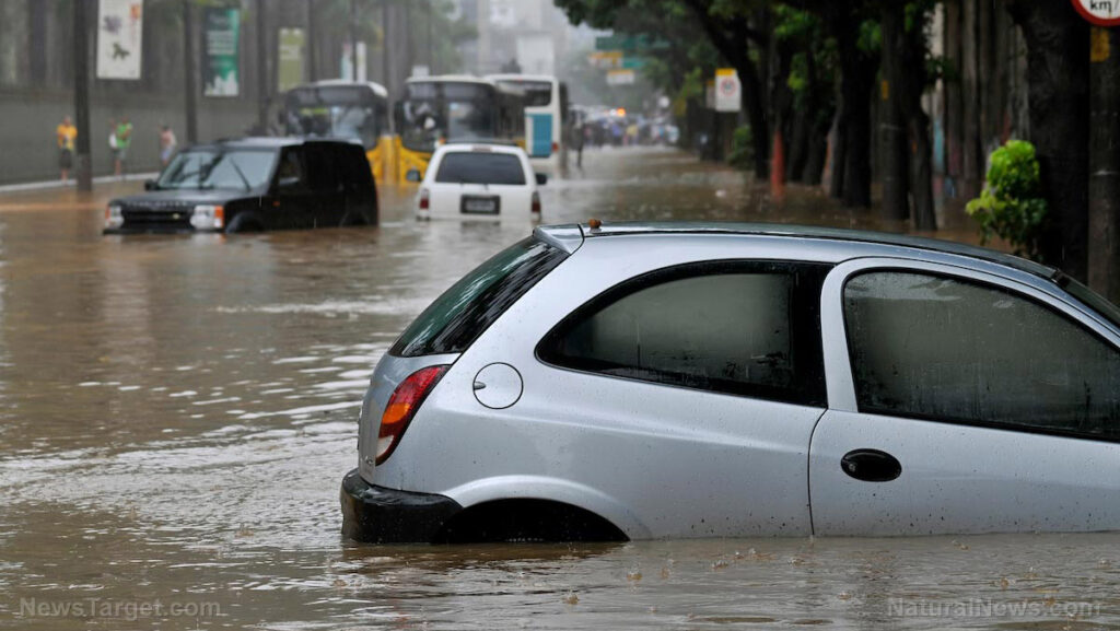 El científico del Fondo Mundial para la Naturaleza ofrece el peor consejo sobre huracanes de la historia, y pide una «lógica de vacunas» para domar las aguas de las inundaciones mientras se ignoran las muertes masivas por vacunas