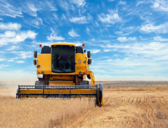 Harvest-Machine-Combine-Tractor-Agriculture-Crop-Flour