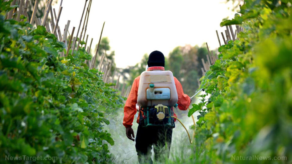 Cuidado con el consumidor: un estudio revela que los «químicos para siempre» tóxicos en los pesticidas están ingresando al suministro de alimentos