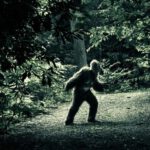 Reconocida escritora científica dice que el Bigfoot puede existir