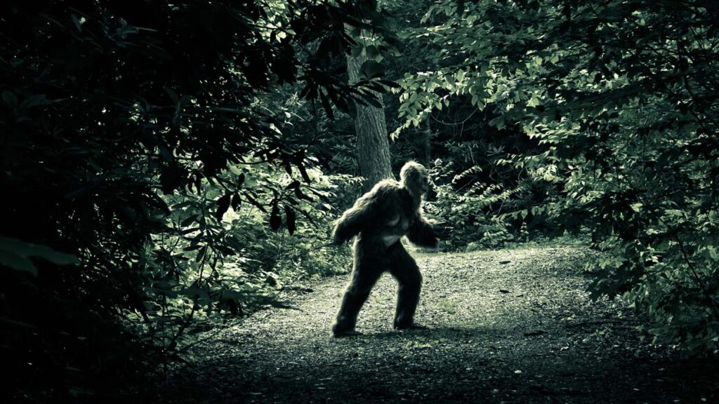 Reconocida escritora científica dice que el Bigfoot puede existir