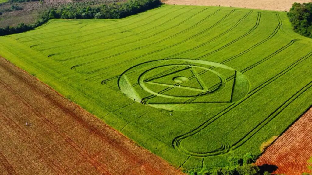 Aparece una misteriosa formación en un campo agrícola en Brasil, ¿mensaje extraterrestre?