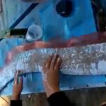 Encuentran el pez remo «pez de los terremotos» en Sinaloa (México)