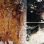 Pinturas de 10.000 años con ovnis y alienígenas halladas en India