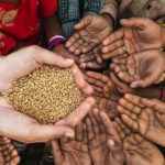 El nivel de hambre en África occidental y central alcanzará un máximo histórico en 2023, advierte la ONU