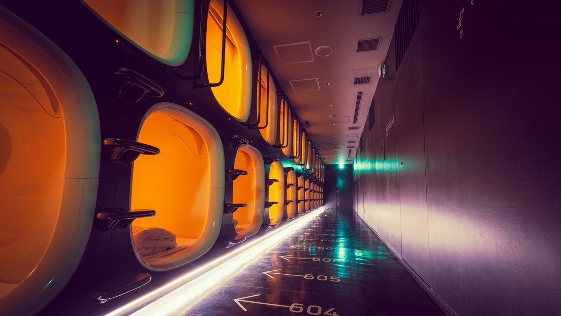 Prueban en animales una tecnología que podría llevar a la hibernación artificial en vuelos espaciales