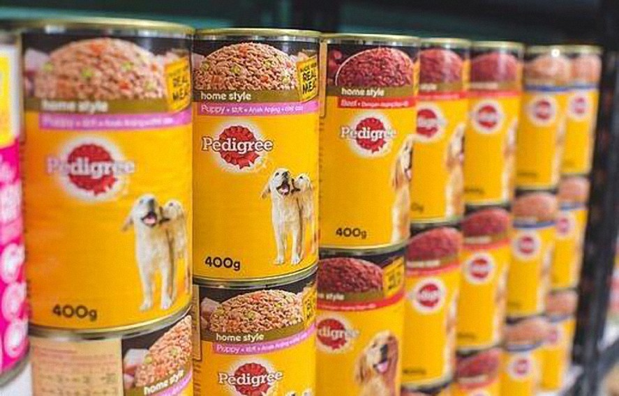 Británicos «comen alimentos para mascotas» y calientan comida en los radiadores mientras la inflación se dispara