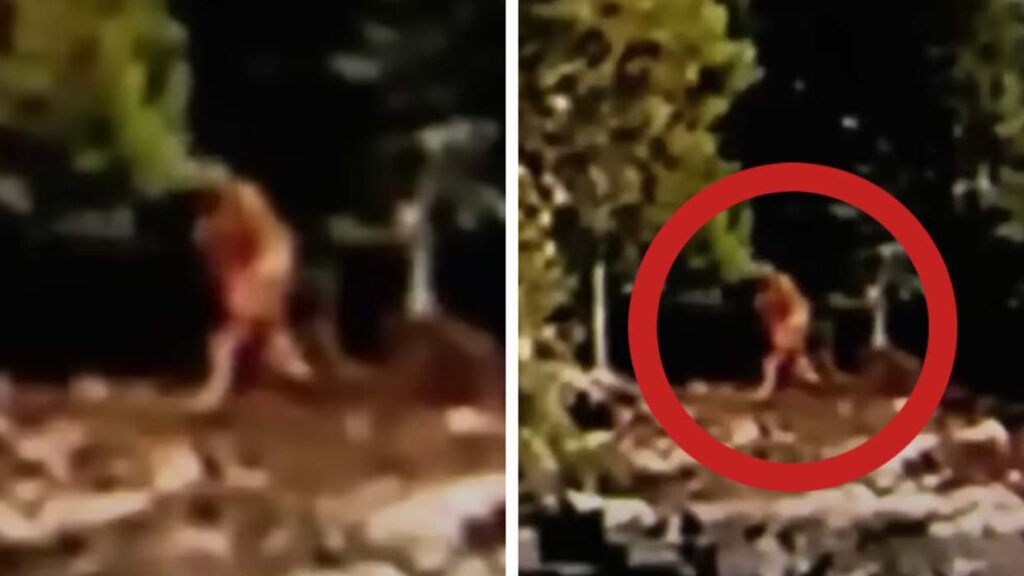 Turistas graban un «Bigfoot» cerca de un lago en Canadá