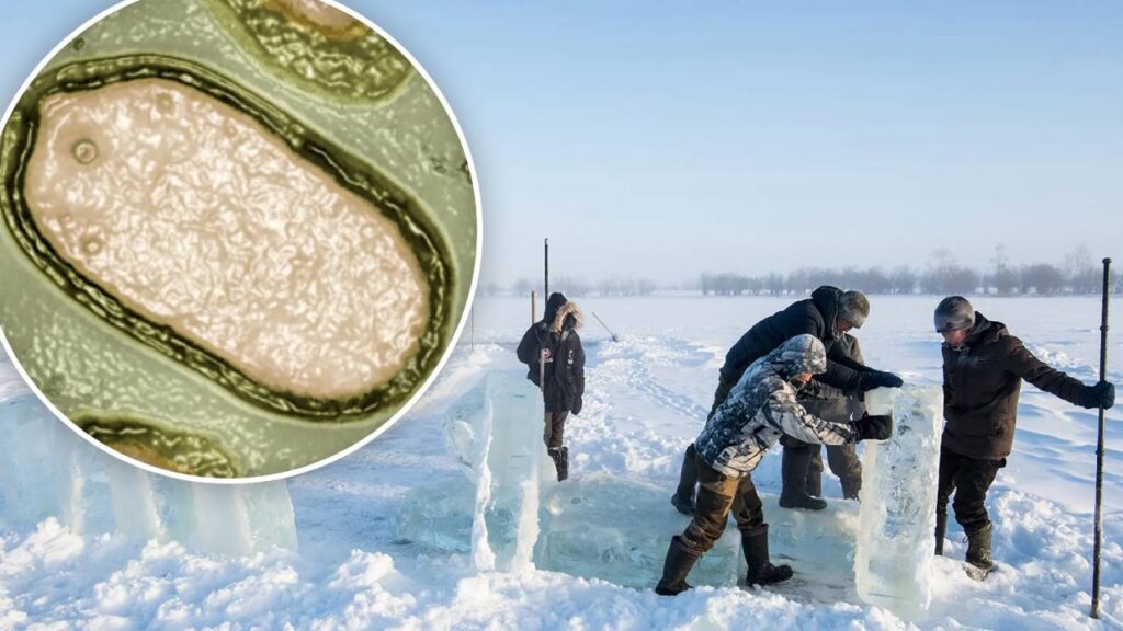 Científicos reviven un peligroso virus zombi de 50.000 años del permafrost siberiano