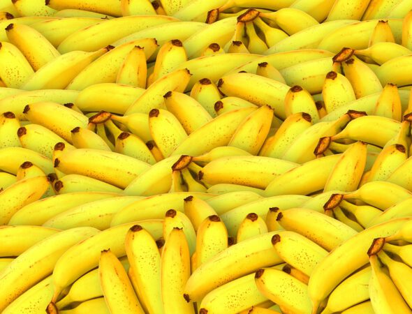 bananas-1119790_960_720