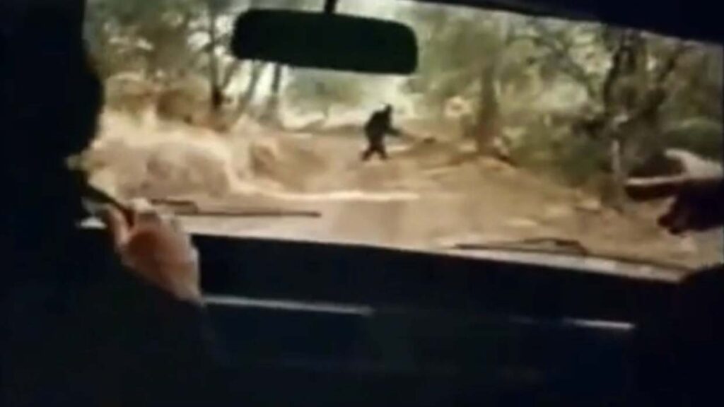 Una mujer encuentra el video de un «Bigfoot» entre las cintas VHS de su difunto padre