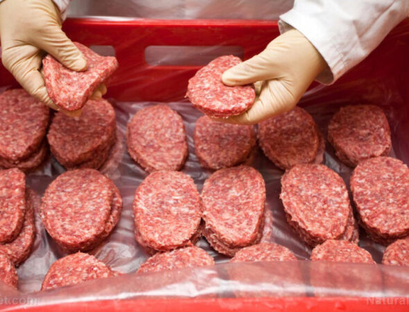 Food-Meat-Beef-Hamburger-Packaging-Patties