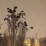 El extraño comportamiento de las Aves antes del evento sísmico en Turquía