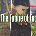 El futuro de los alimentos (es nuestra decisión)