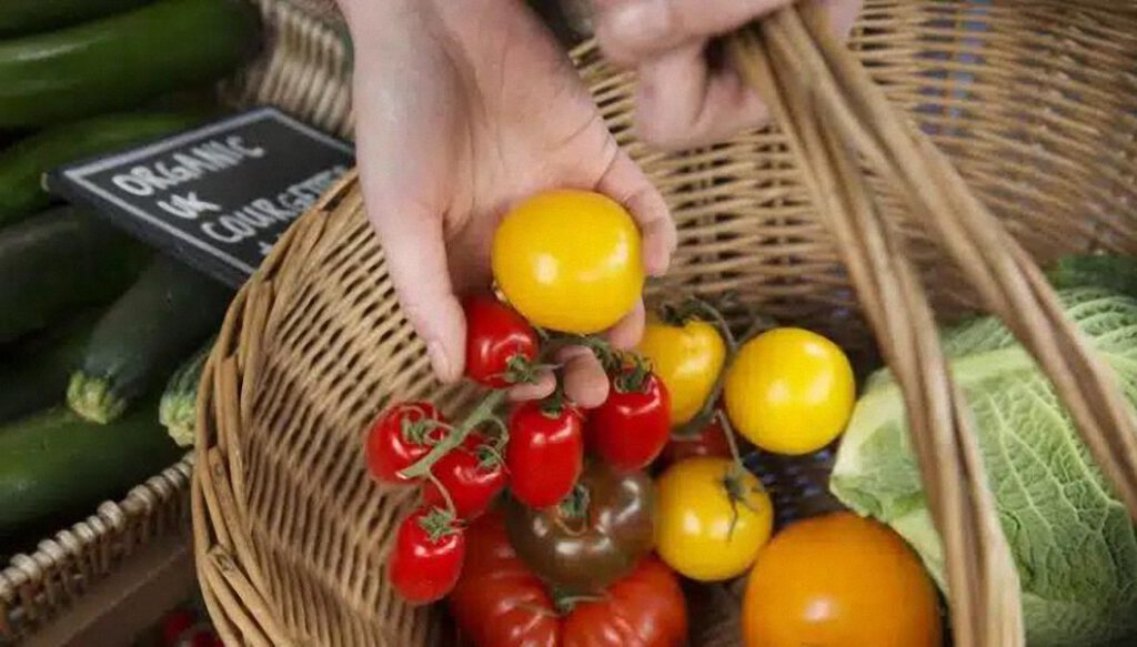 Los supermercados británicos comienzan a racionar las verduras mientras los sindicatos agrícolas dicen que el Reino Unido debe «tomar el mando» de la producción de alimentos