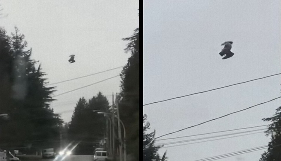 Captan en video una su puesta falla en la matix, una ave congelada en el cielo en un solo lugar