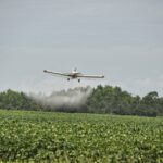 Confirmado: vivir en pueblos fumigados con agrotóxicos aumenta el riesgo de padecer cáncer