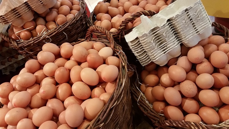 Se incendia la granja de huevos más grande de Nueva Zelanda matando a más de 70.000 gallinas en medio de una escasez nacional de huevos