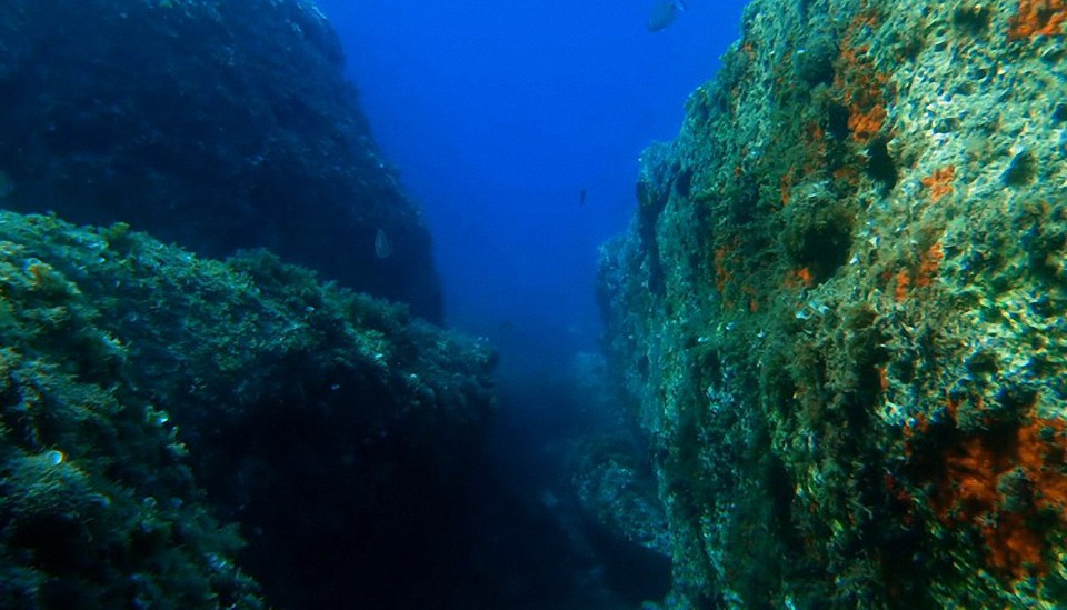 ¿Qué hallaron los científicos en las profundidades de las aguas de Groenlandia?