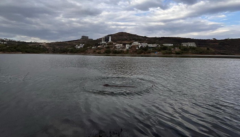 Misterio en la Presa Madín cerca de la ciudad de México vecinos aseguran haber visto una enorme criatura en el agua