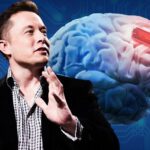 Elon Musk presenta el «teléfono que podrá conectarse al cerebro»