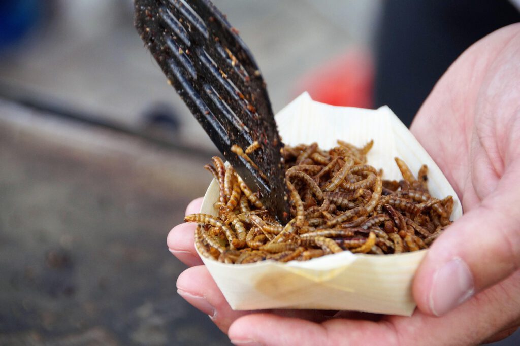 Todos a comer insectos: Ha llegado la nueva dieta