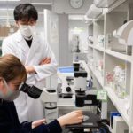 Bebés 100% cultivados en laboratorio en 5 años: Investigadores japoneses están a punto de crear óvulos y espermatozoides humanos que pueden crecer en un Útero falso