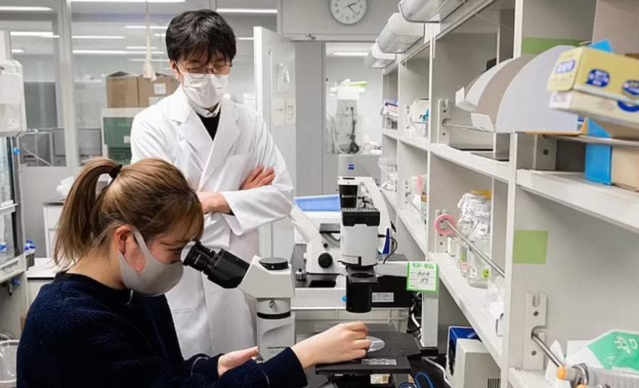 Bebés 100% cultivados en laboratorio en 5 años: Investigadores japoneses están a punto de crear óvulos y espermatozoides humanos que pueden crecer en un Útero falso