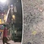 Misteriosas criaturas llueven del cielo en una ciudad india