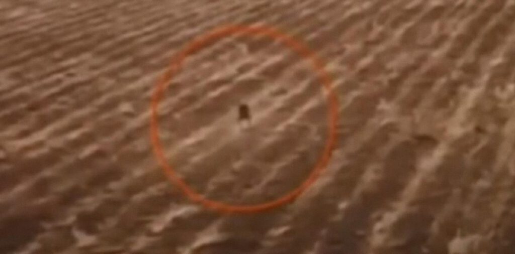 ¿Dron filma el Chupacabras en Bolivia?