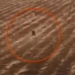 ¿Dron filma el Chupacabras en Bolivia?