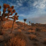 Excavan bajo una roca sagrada del Desierto y lo que pasó asombró al mundo