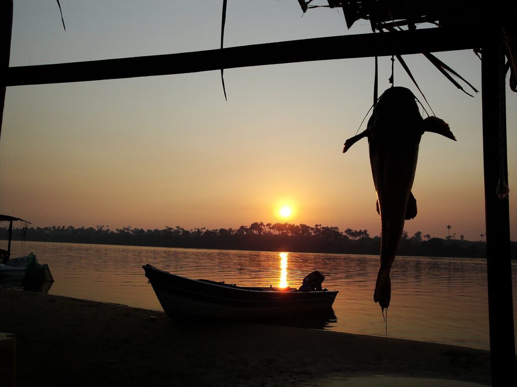 El pescado consumido en seis estados de la Amazonía brasileña tiene peligrosos niveles de mercurio