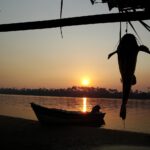 El pescado consumido en seis estados de la Amazonía brasileña tiene peligrosos niveles de mercurio