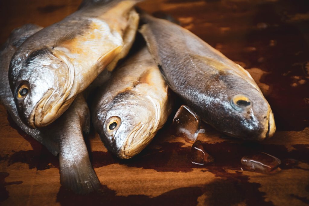 Radiación en los peces de Fukushima supera 180 veces el límite de seguridad