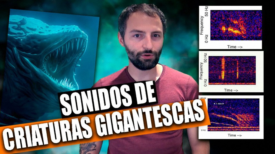 Los 6 escalofriantes sonidos del océano: ¿Criaturas marinas gigantescas desconocidas?