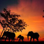 Construcciones imposibles en África que nadie ha Podido Explicar