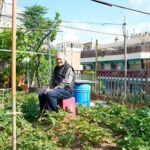 Cultivando con amor, una “parcela en el cielo” de Barcelona