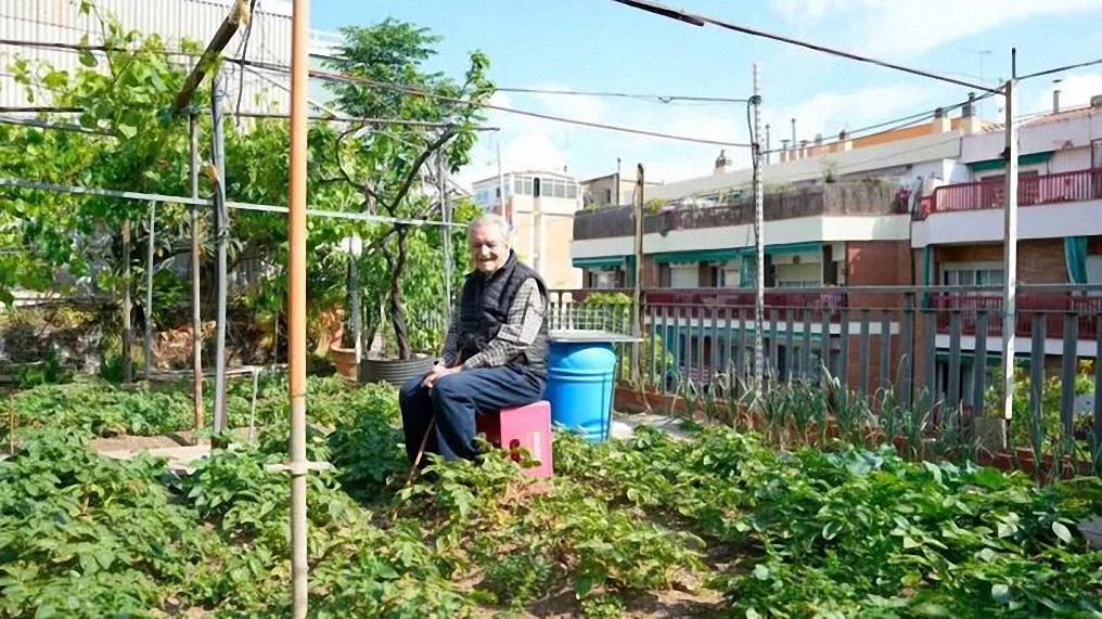 Cultivando con amor, una “parcela en el cielo” de Barcelona