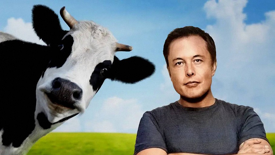 La propuesta de Irlanda de sacrificar 200.000 vacas para cumplir con objetivos ambientales y las críticas de Elon Musk