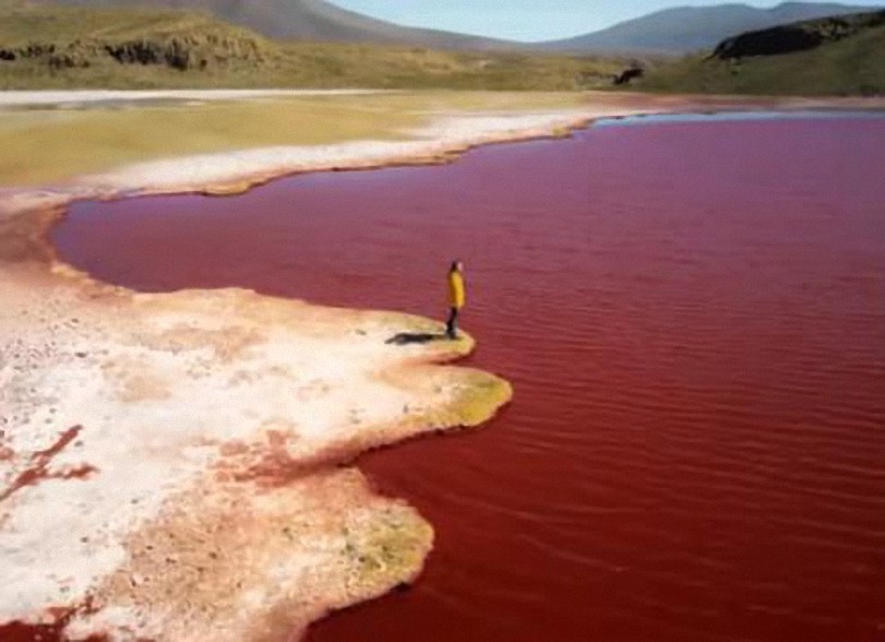 ¿Sangre en el Nilo?: El río se tiñe de rojo y causa conmoción en redes sociales