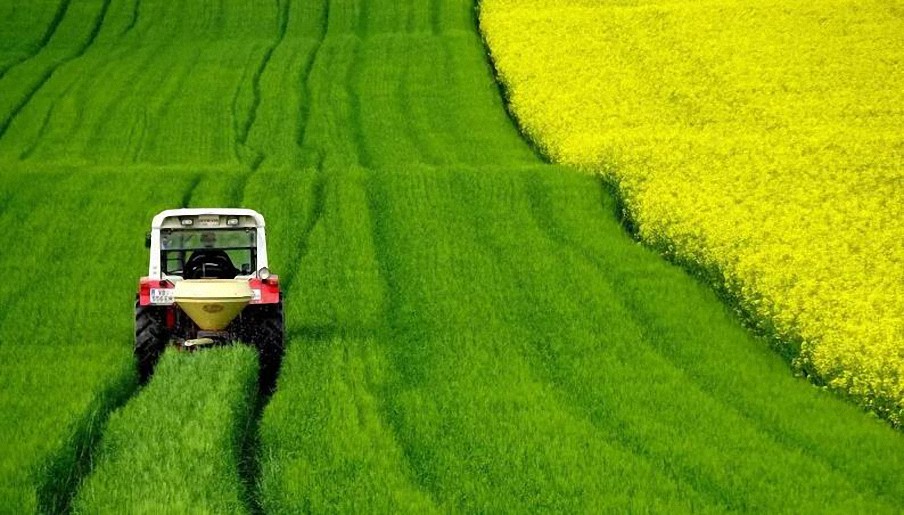 Tú no eliges los alimentos que comes, lo hacen ellos