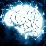 La Creación del cerebro de Selenio impacta al mundo, La IA será muy diferente de lo que pensabas